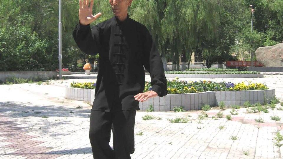 🎉 Master Huang Renjun practicing Sun style Tai Chi