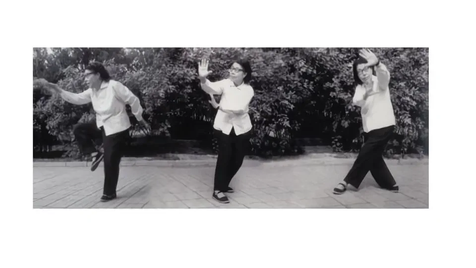 🎉 Master Sun Jianyun practicing Sun style Bagua Chuan