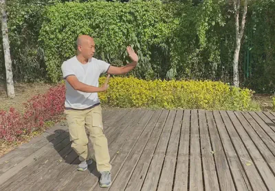 Sun-Style Bagua Chuan photo