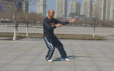 Sun-Style Tai Chi Chuan photo