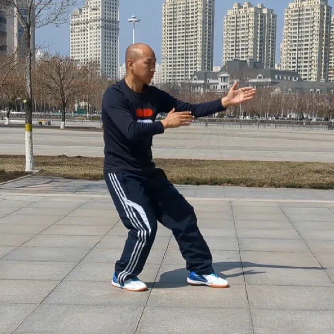 Learn Sun-style Tai Chi Chuan (孙氏太极拳)