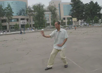 Sun-Style Hsing-I Chuan photo