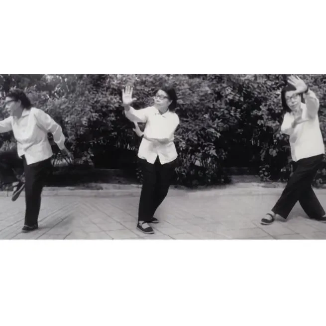 🎉 孙剑云宗师演练孙式八卦拳
